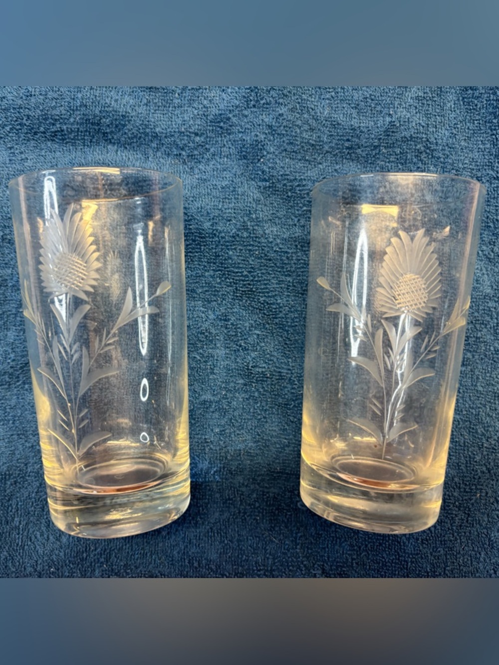 📍🗝️Vintage Etched Floral Glass Tumbler